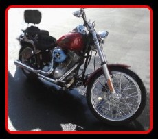 Harley Davidson Soft Tail detailed by Fifty Dollar Detail